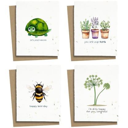 10 Pack - Mixed Assortment