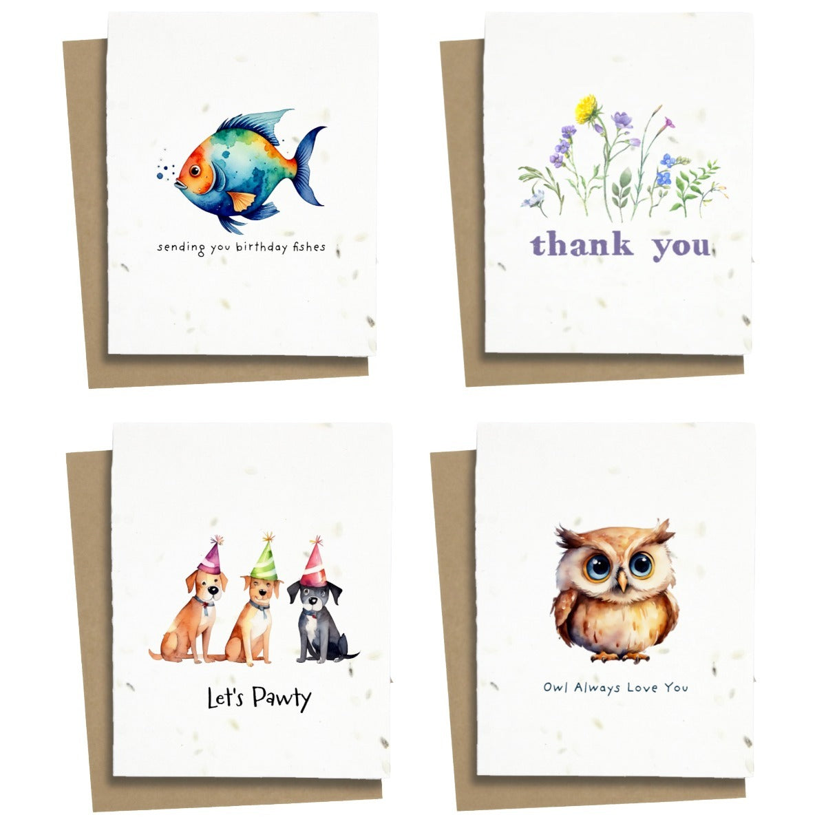 10 Pack - Mixed Assortment