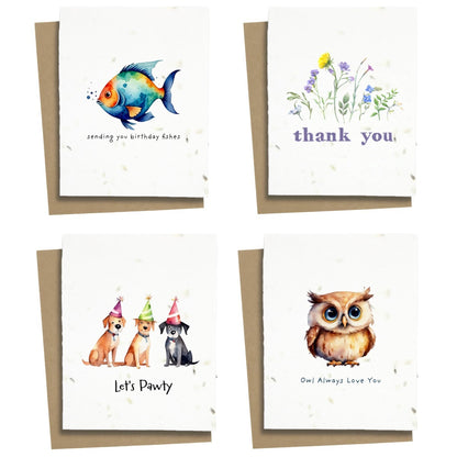 10 Pack - Mixed Assortment