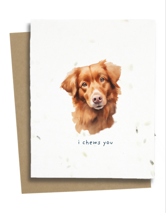 Nova Scotia Duck Toller card