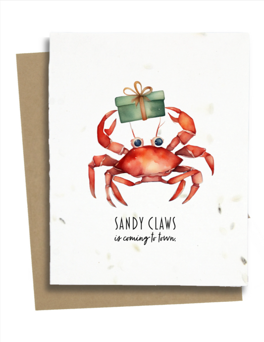 beach theme christmas cards