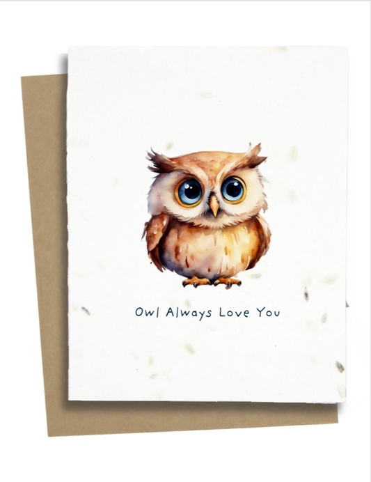 cute owl card