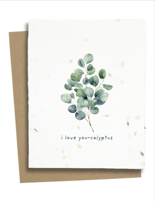 eucalyptus card