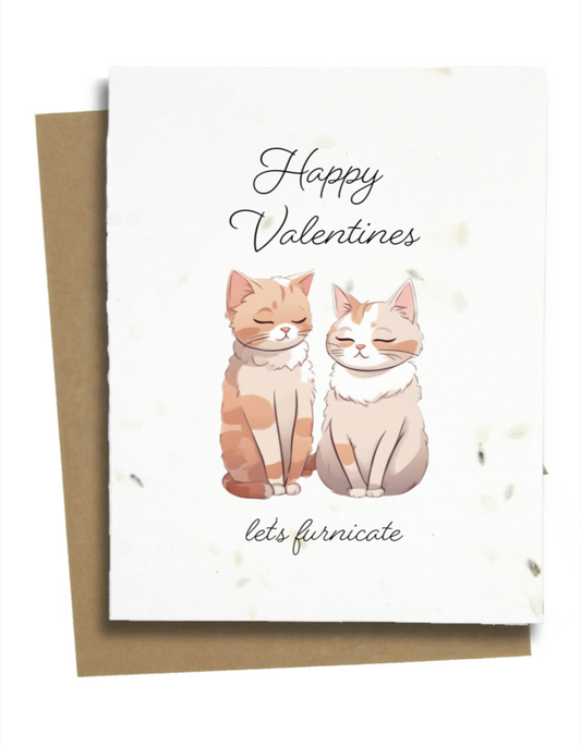 funny cat anniversary cards