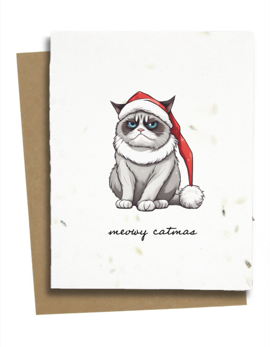 funny cat christmas greetings