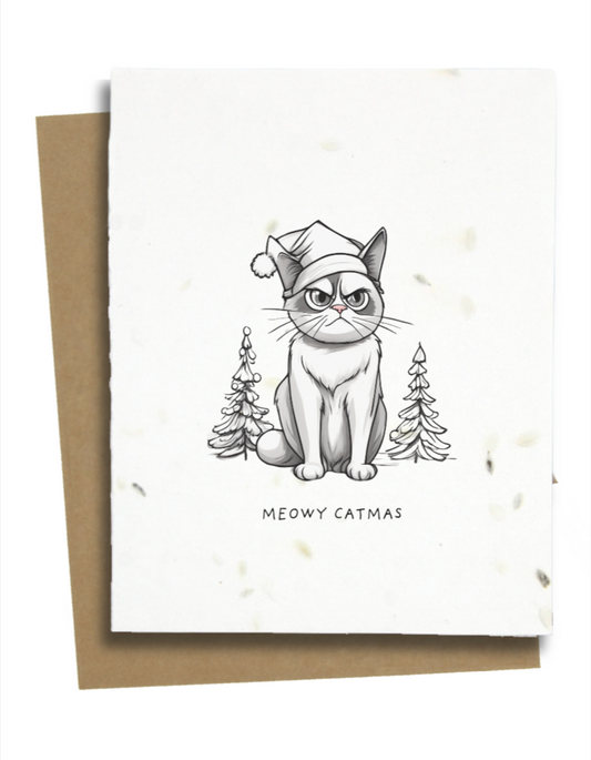 funny cat xmas cards