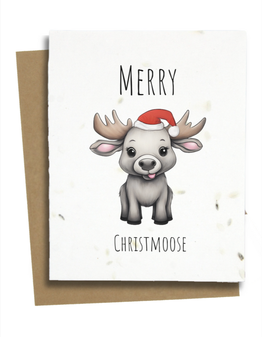 funny christmas cards