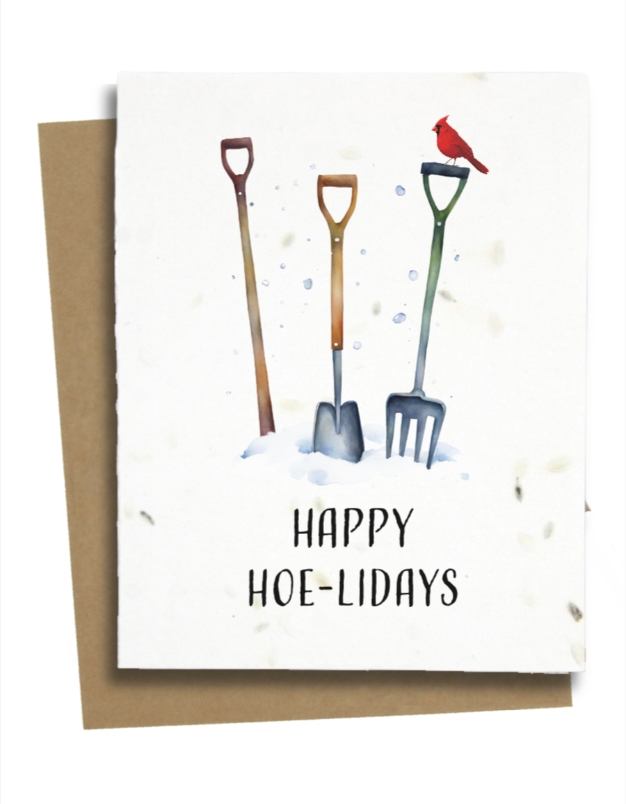 funny merry christmas wishes