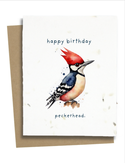 funny woodpecker birthday card