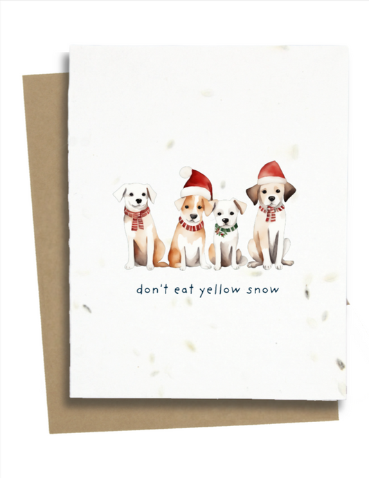 holiday greetings from dogs