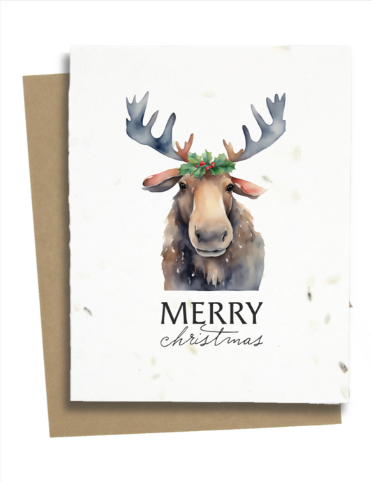 moose greeting cards