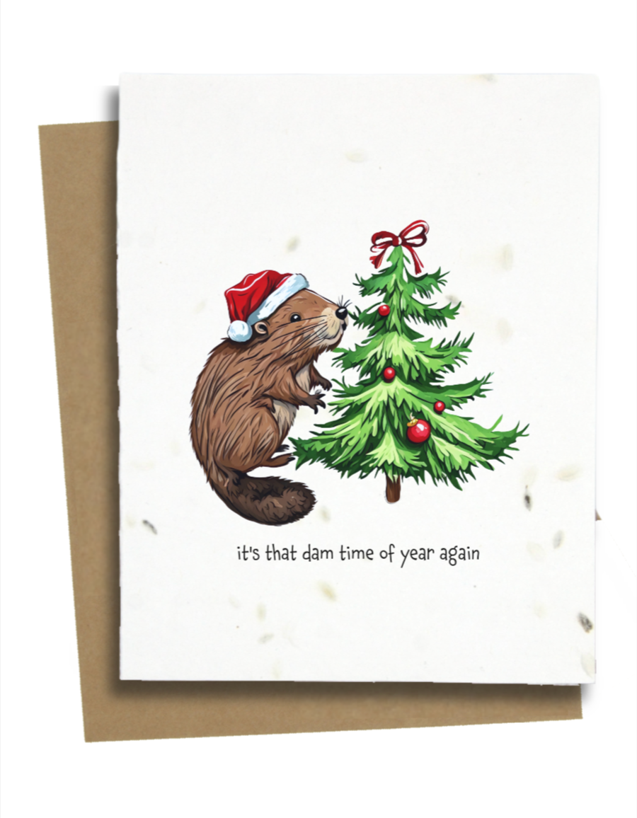 punny christmas cards