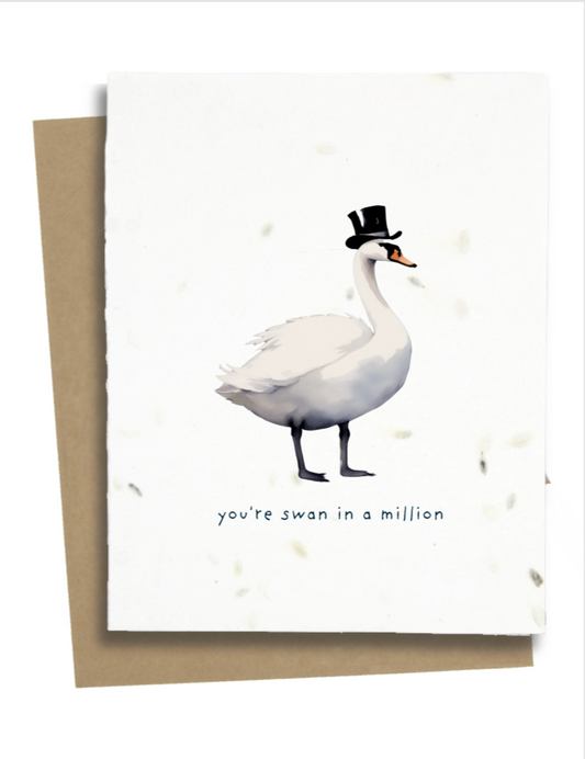 punny swan card