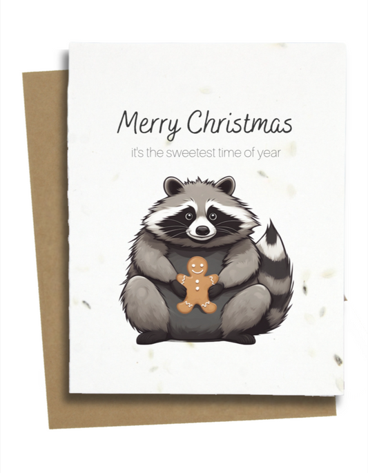 racoon christmas cards