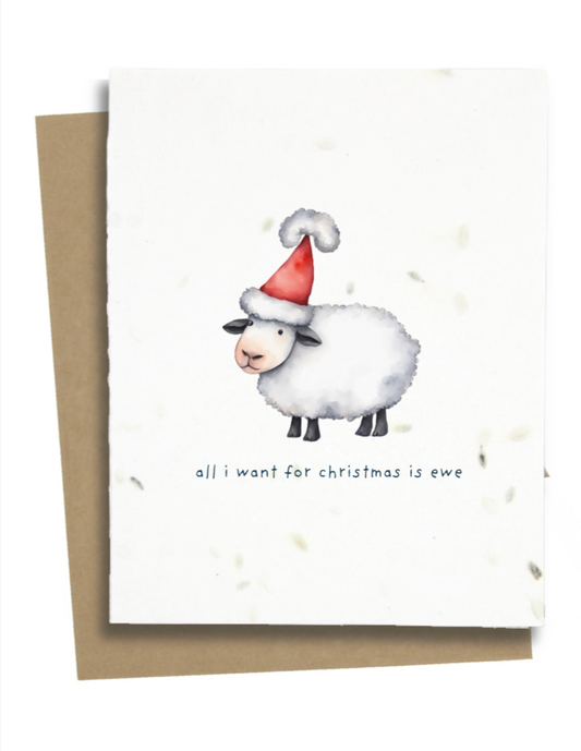 sheep christmas card