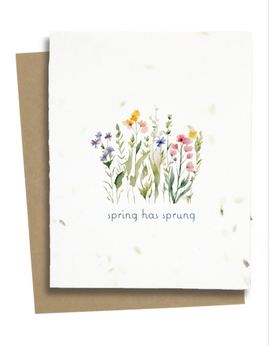 spring has sprung card