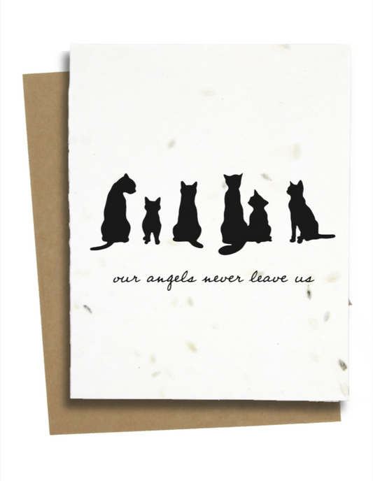 sympathy card for loss of cat