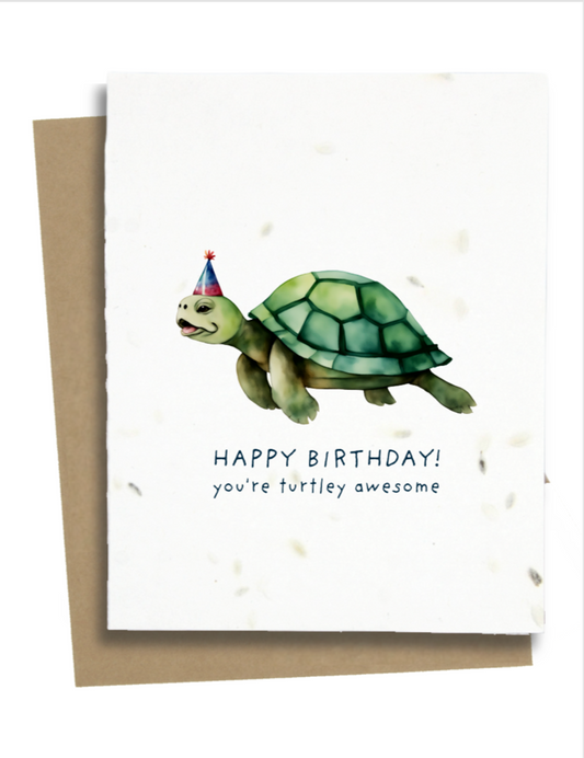 turtle birthday greetings