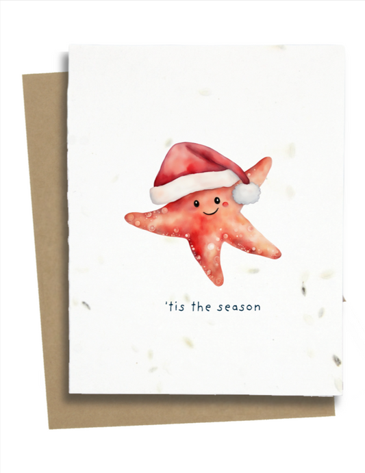 wildflower seed christmas cards